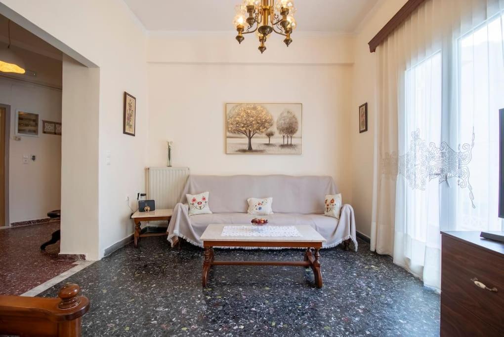 Vintage Charm Near Centre Apartment
